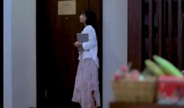 网友都市爆料视频大全集,揭秘热门视频背后的真实故事